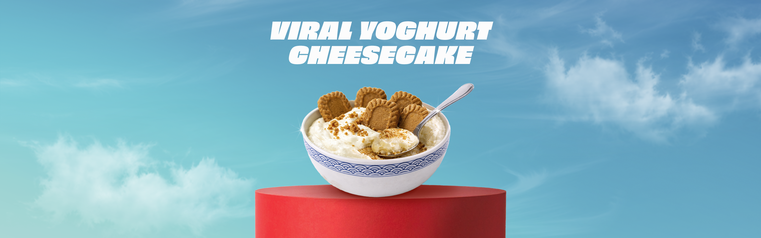 Viral Yogurt Cheesecake