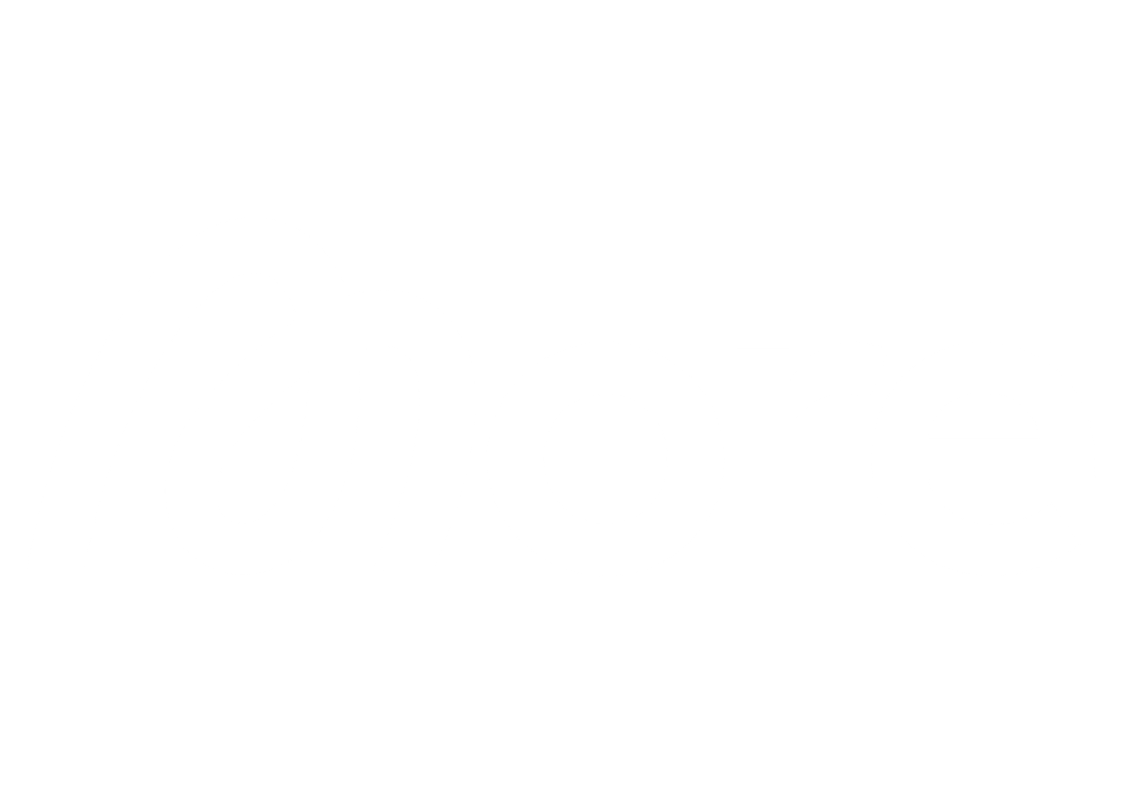 More Nutrition US
